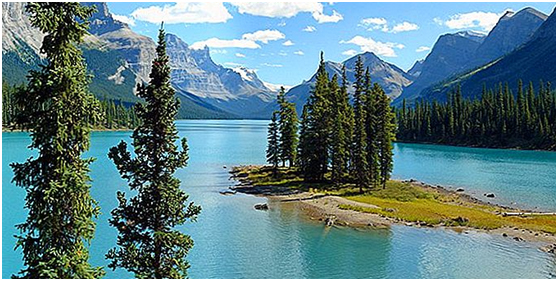 加拿大移民各省利好政策内卷!博德指南移民教您如何面对阿尔伯塔省新活动